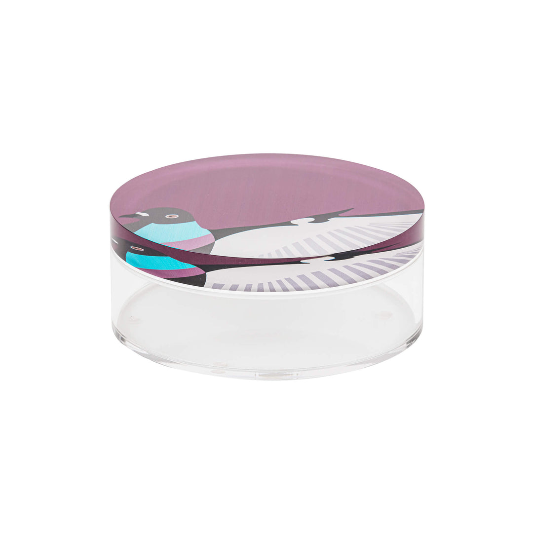 Sarb Flat Container - Small