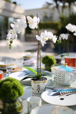 Load image into Gallery viewer, Sarb Pot