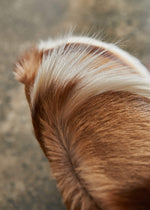 Load image into Gallery viewer, Winter Masnad Wisada